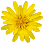 Gravatar of thomasba